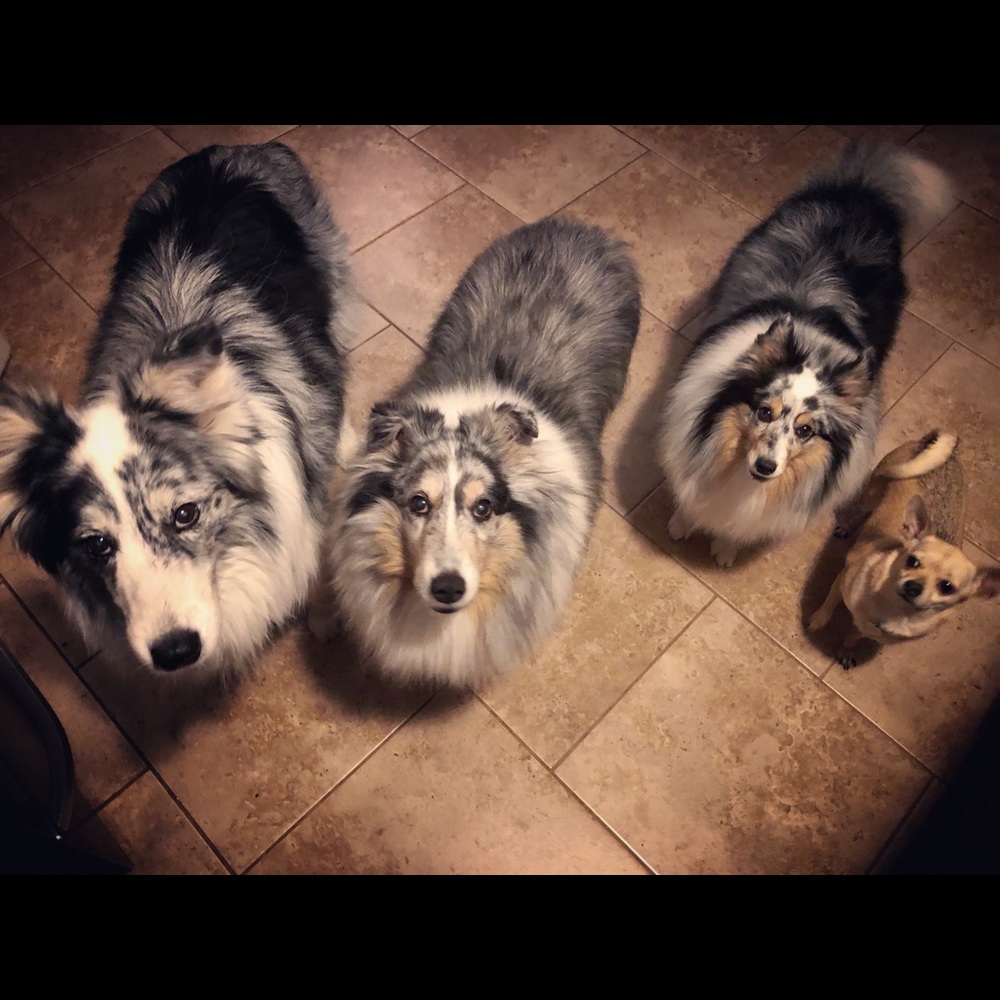 Meet your Posher, Margaret